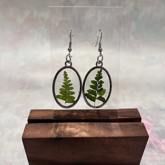 Oval Fern Dangle